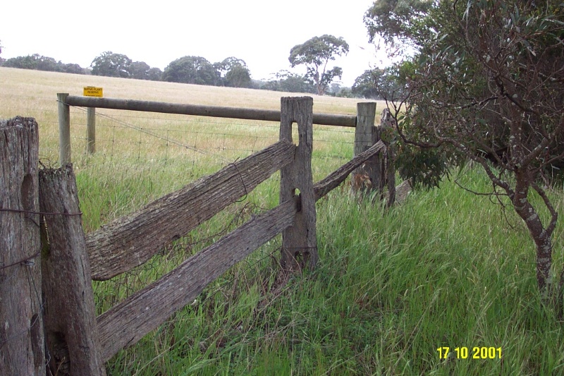 23142 Post and rail fence Bochara 0084