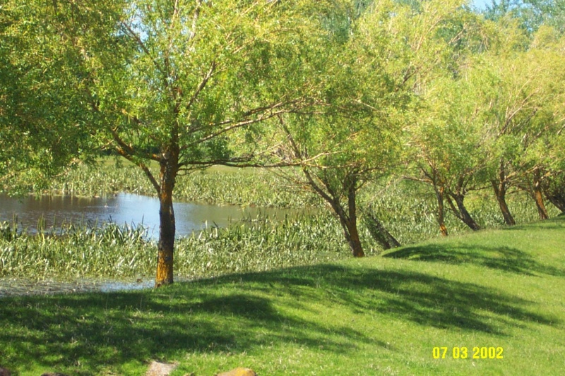 23426 Woodhouse dam lake 1750