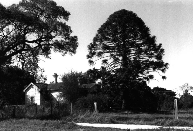 Beaconsfield Station Masters Residence Bunya Bunya