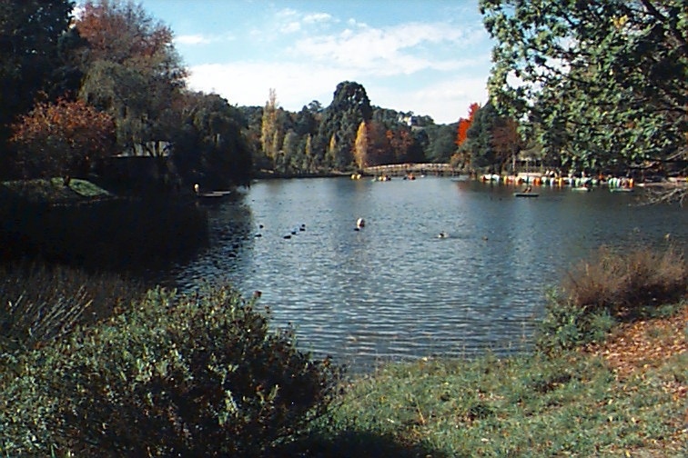 Emerald Lake Park &amp; Landscape 3