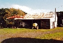 Devonscot -shearing shed