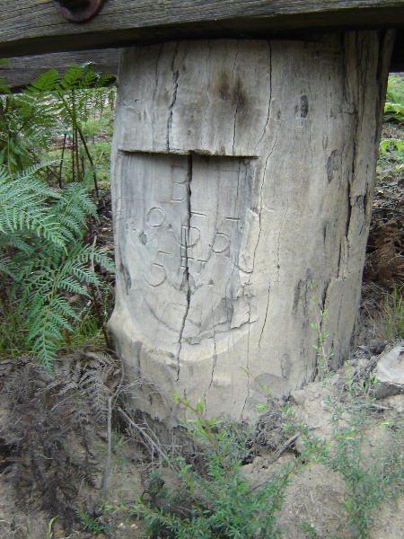 Victorian Railways' maintenance record inscribed at the base of piles, May 2007.