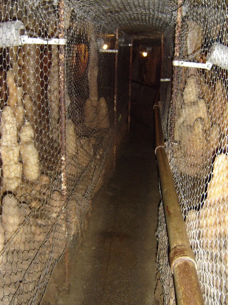 Typical netting inside caves. May 2007.