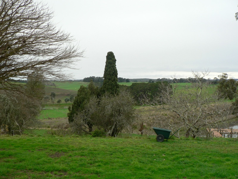 Piggoreet West Homestead front garden looking north east