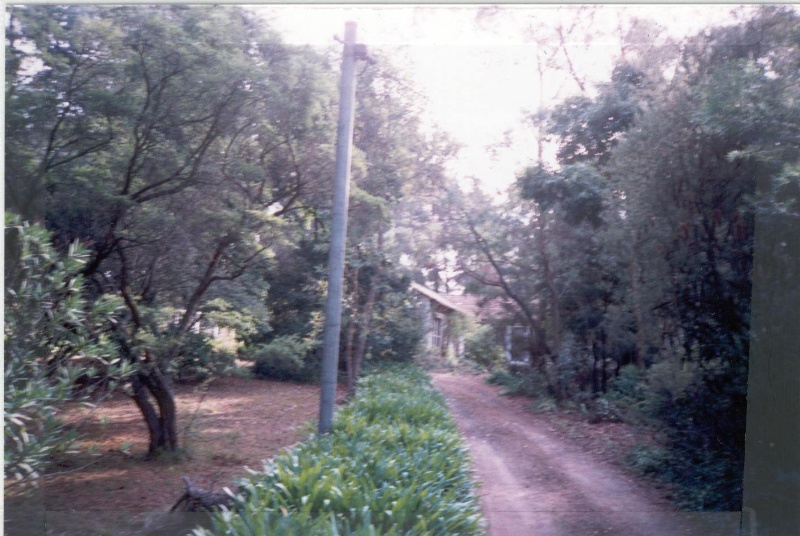 22510 Entrance to Ian H. Grabowsky House - 15 Old Warrandyte Road, Donvale (C)