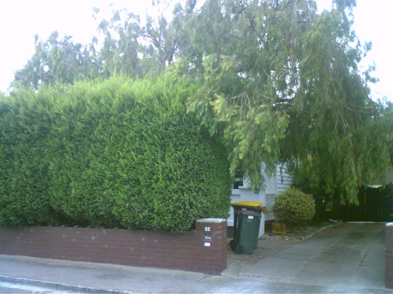 34 Avon Street, Geelong West