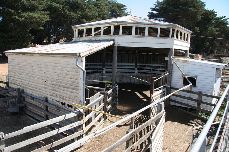 H0314 Stock Selling Ring Casterton Mar 08 open bays and auctioneers box