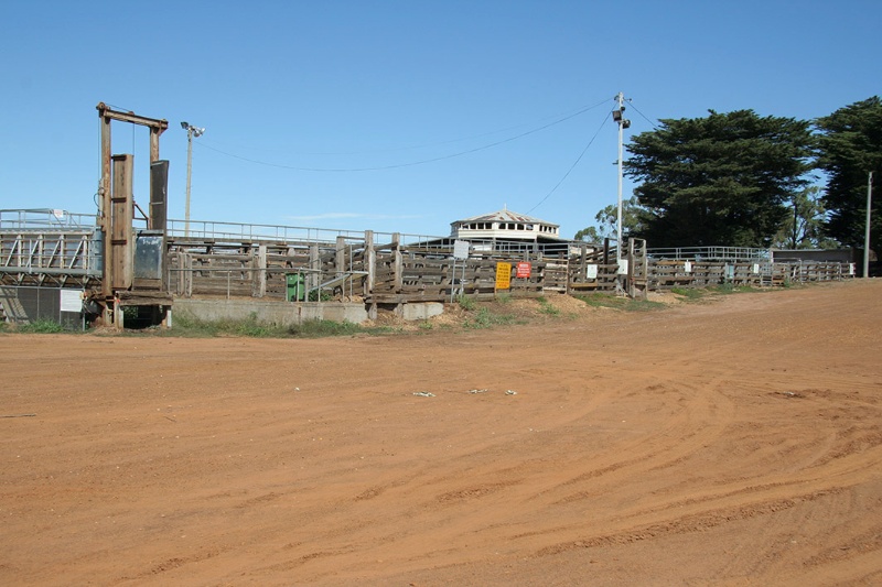 H0314 Stock Selling Ring Casterton Mar 08 Cattle yards and selling ring from the north