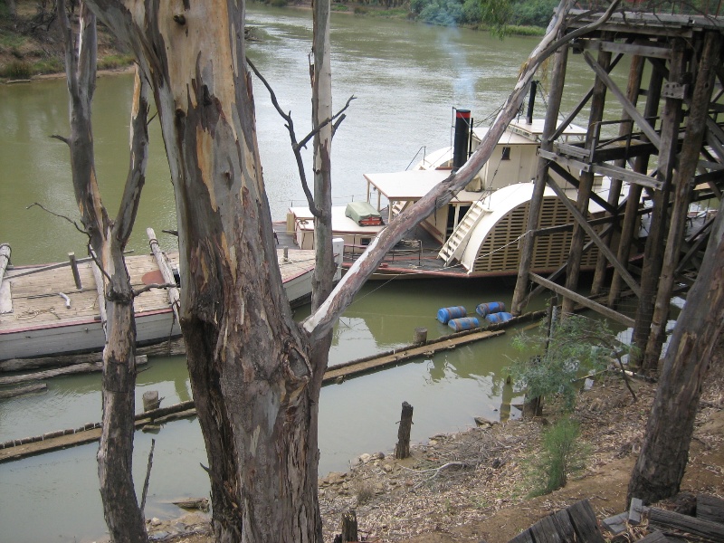 Echuca Wharf Feb 2008 mz Remnant Structure to North of Extant Wharf 02