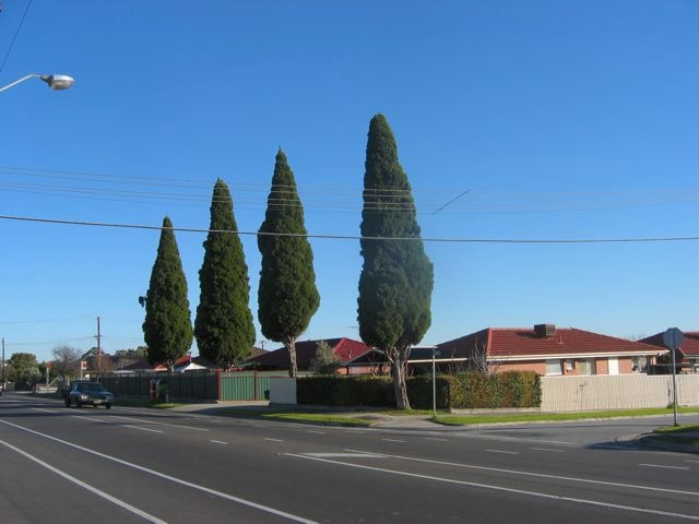 Clydebank Dairy Trees, 679 Gilbert Road, Reservoir