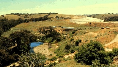 45835 Keilor Market Gardens Cultural Landscape