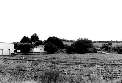 45835 Keilor Market Gardens Cultural Landscape