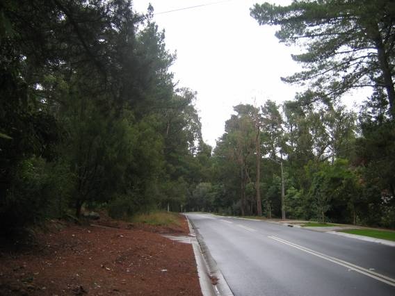 47085 Trees - Old Warrandtye Road, Donvale (looking sth)