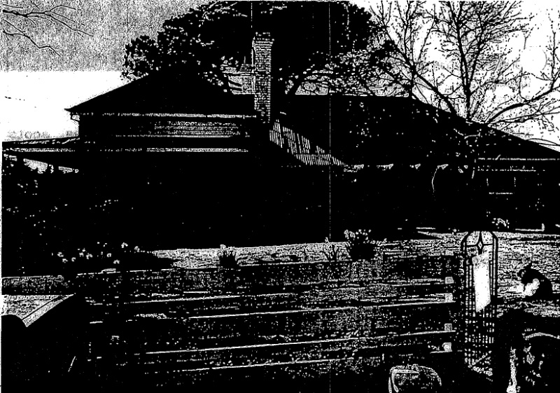 12.10 - Thornholme Residence - Shire of Whittlesea Heritage Study 1991
