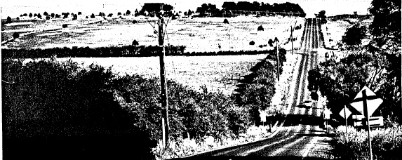 1 - Hawthorn Hedges in Kangaroo Ground - Shire of Eltham Heritage Study 1992