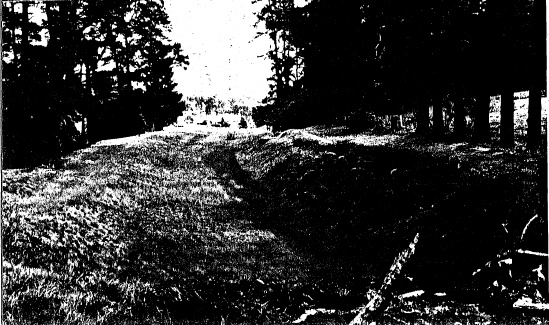 2 - Maroondah Aqueduct Kangaroo Ground Eltham N15 - of Eltham Heritage Study 1992 - Section of Aqueduct at Research that has been removed/filled in and replaced by a pipeline. A tunnel began/begins here. The surviving radiata pine tree plantings