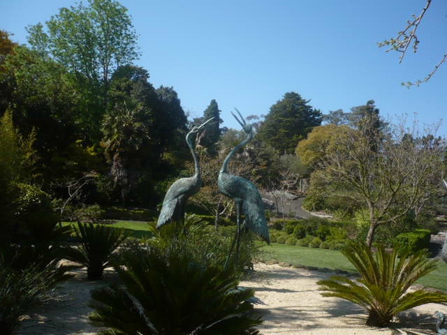 Botanical Garden Storks 3