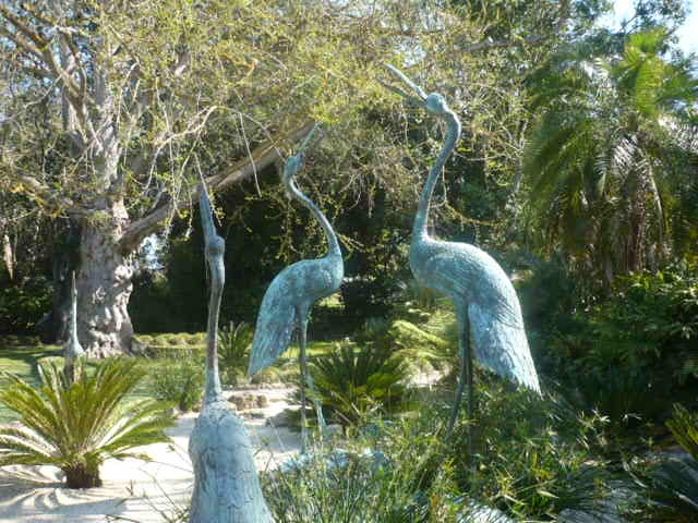 Botanical Garden Storks 1