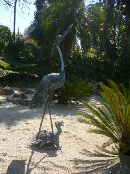 Botanical Gardens Storks 2