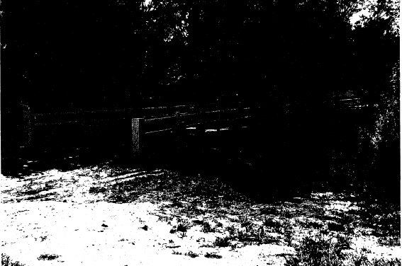 29 - Timber Trestle Road Bridge over Diamond Creek_02 - Shire of Eltham Heritage Study 1992