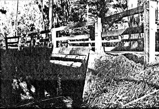 33 - Timber Trestle Road Bridge over Arthurs Creek - Shire of Eltham Heritage Study 1992