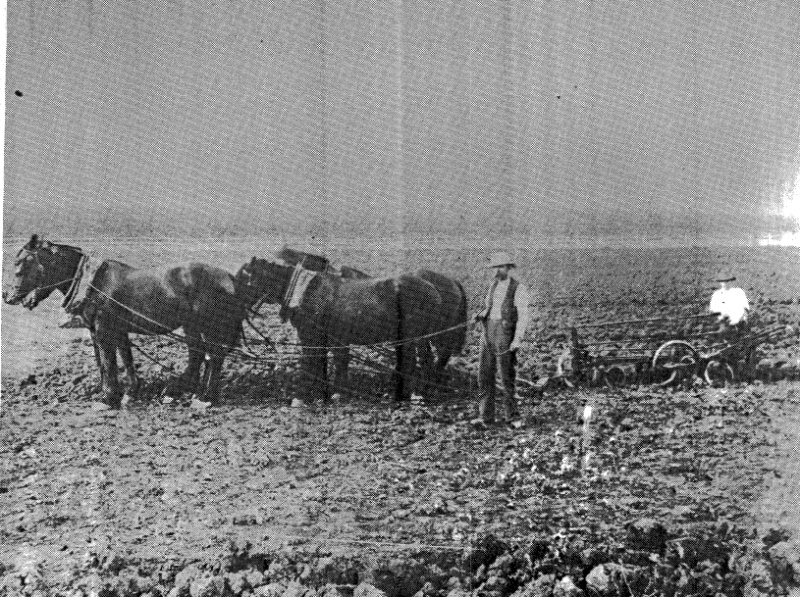 69 - Garden Hill Shearing Shed Elth Yarra Glen Rd_13 - James and Robert Ness ploughing at Garden Hill (ELHPC NO. 420) - Shire of Eltham Heritage Study 1992