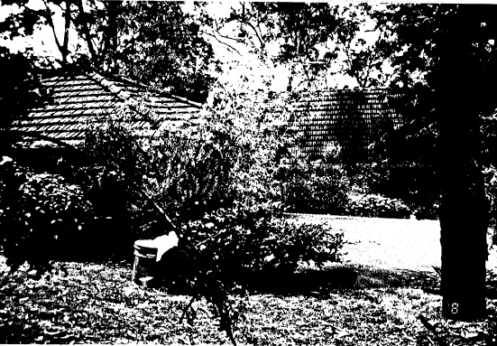 76 - Pise House Langi Dorn 4 Fay St_03 - Shire of Eltham Heritage Study 1992