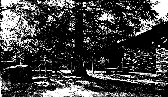 81 - Hurst Family Cemetery Greysharps Rd - Shire of Eltham Heritage Study 1992