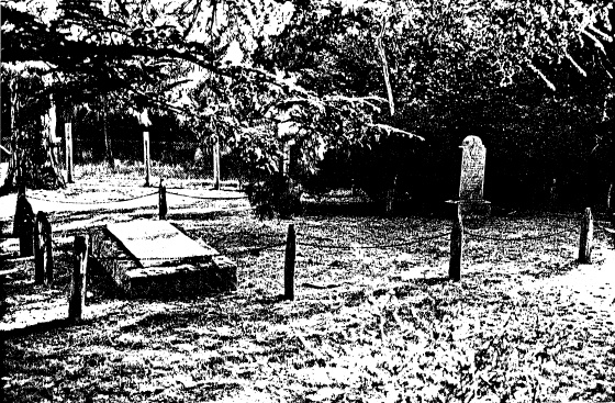 81 - Hurst Family Cemetery Greysharps Rd_03 - Shire of Eltham Heritage Study 1992