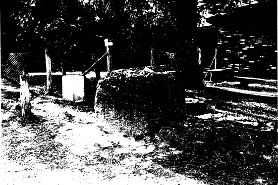 81 - Hurst Family Cemetery Greysharps Rd_06 - Shire of Eltham Heritage Study 1992