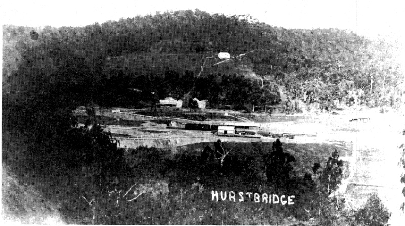 94 - Railways Residence Palm Cypress Trees Hurstbridge_02 - Old photography presumably taken in or soon after 1912 showing the Hurstbridge Railway Station and on the right hand side this house, which predates all of the nearby buildings (ELHPC No.1004) - 