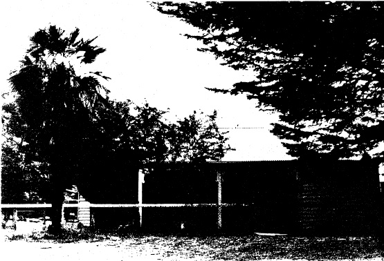 94 - Railways Residence Palm Cypress Trees Hurstbridge_04 - Shire of Eltham Heritage Study 1992