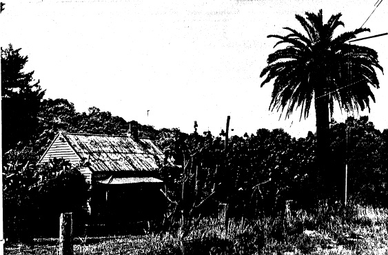 112 - Canary Island Palm 1045 Heidelberg Kinglake Rd - Shire of Eltham Heritage Study 1992