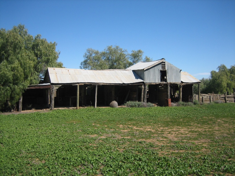 Bael Bael Homestead Bael Bael 10 Sept 2008 mz Shearing Shed and Stables