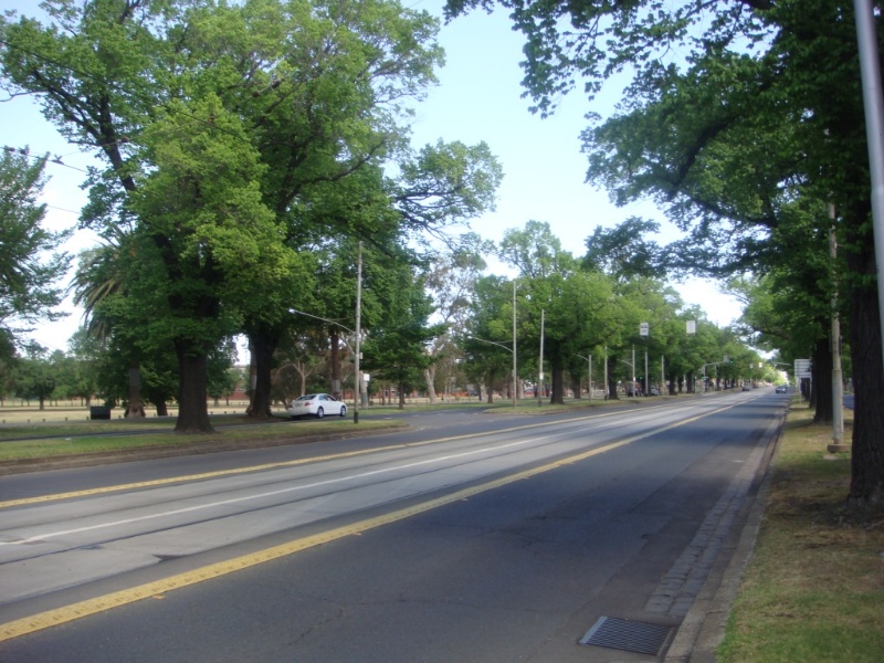 H2198 Royal Parade central carriageway