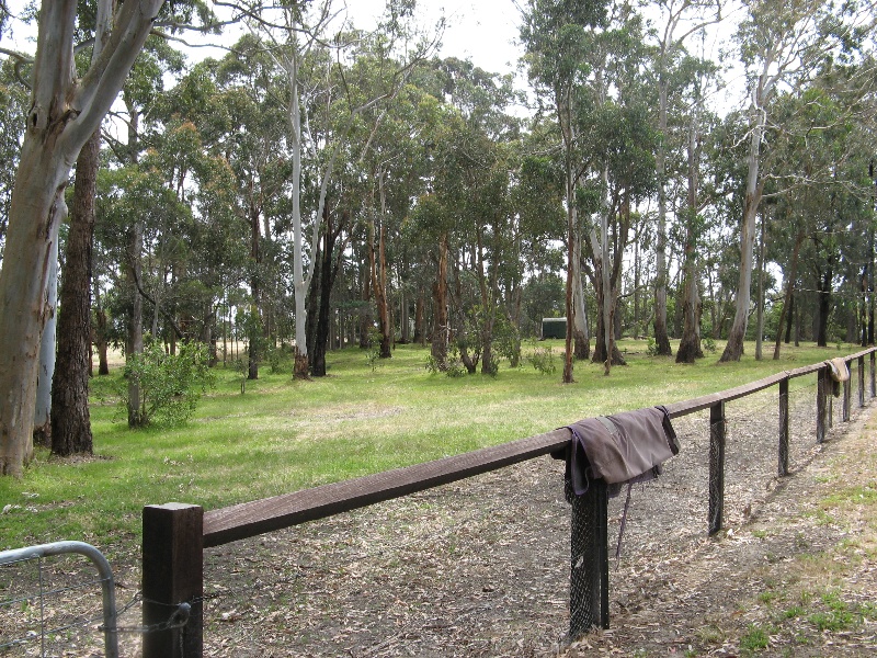 Westerfield_Frankston_eucalyptus paddock_KJ_Dec 08