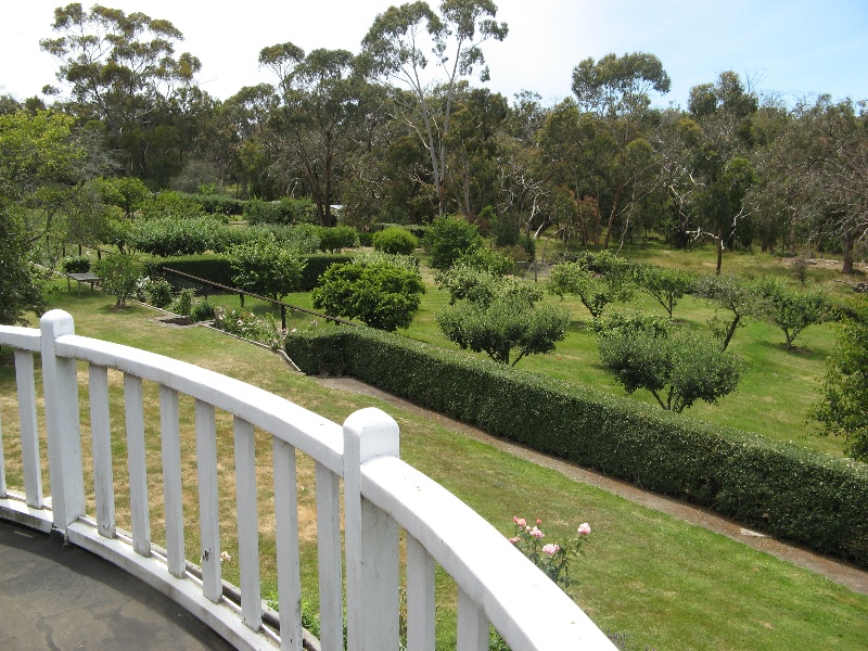 Westerfield_Frankston_north end of orchard &amp; hedge from balcony_KJ_Dec 08