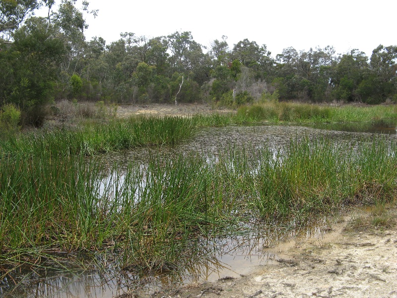 Westerfield_dam_KJ_Dec 08