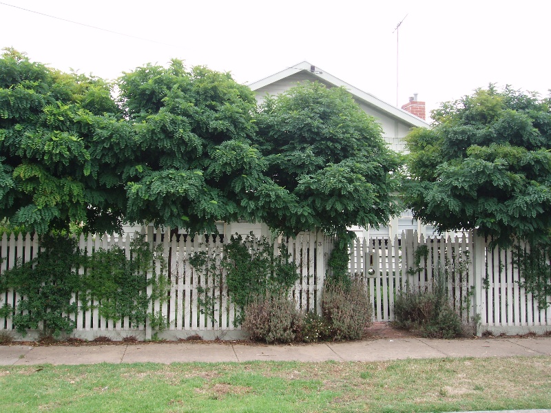 3 Donald St, Geelong East