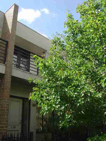 abbotsford abbot street abbotsford abbot street 1 unit 19