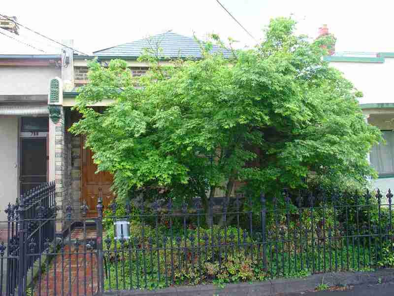 fitzroy north brunswick street fitzroy north brunswick street 766