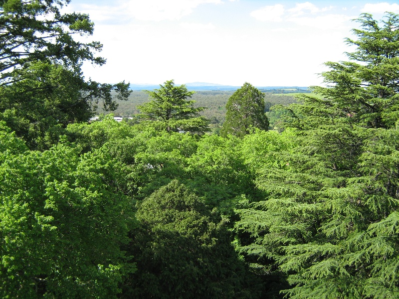 View north from Wombat Hill _ Daylesford Botanic Gardens_01/09/08_WD