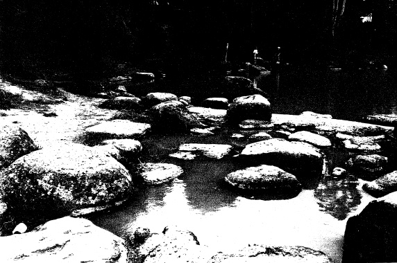 209 - Alistair Knox Park Main Rd Eltham 04 - Photograph shows rocks installed around lake edge important landscape feature - Shire of Eltham Heritage Study 1992