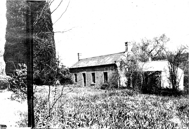 211 - Shillinghaw Cottage Main Rd Eltham 02 - Shillinglaw Cottage photographed on its original site - Note the local stone section, possibly the kitchen, and the size of the pencil pine trees (ELHPC No. 667/668/733-736) - Shire of Eltham Heritage Study 19