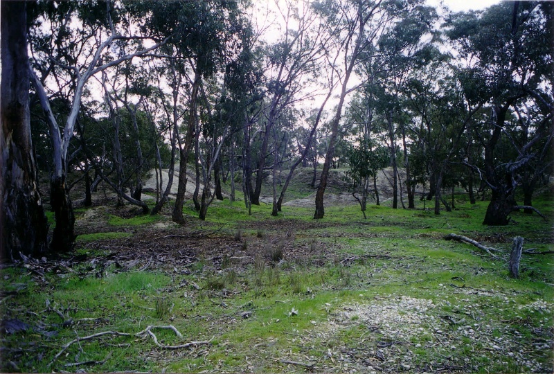 DL 04 - Shire of Northern Grampians - Stage 2 Heritage Study, 2004