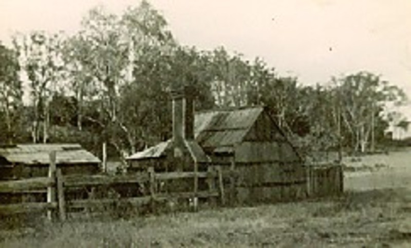 B0607 Hollow Log House Stratford