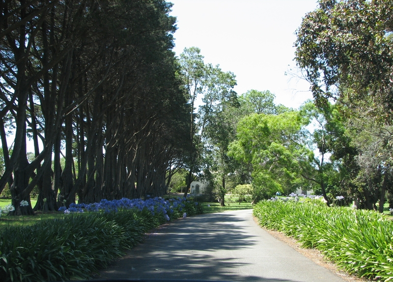 COMMUNITY OF THE HOLY NAME AND RETREAT HOUSE SOHE 2008