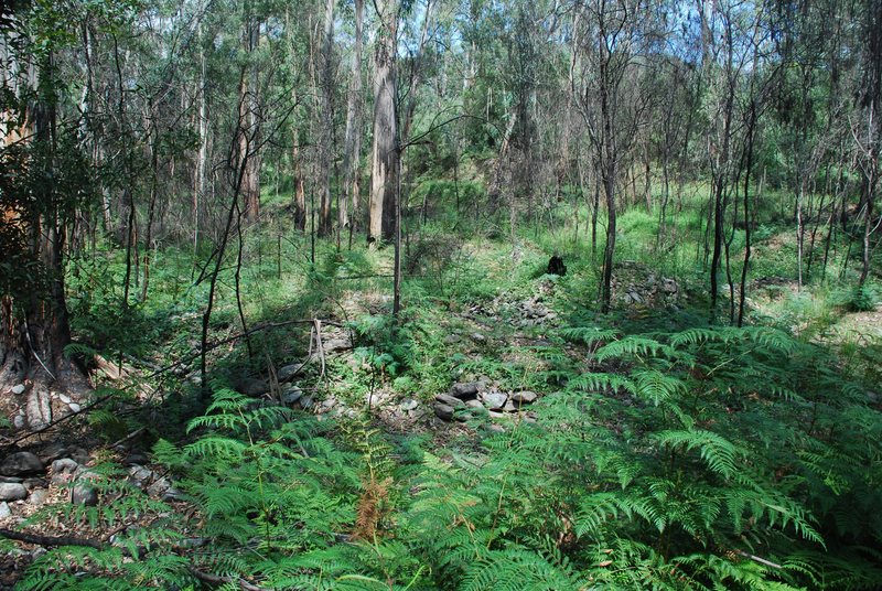 BUCKLAND RIVER HYDRAULIC GOLD SLUICING PADDOCK SOHE 2008