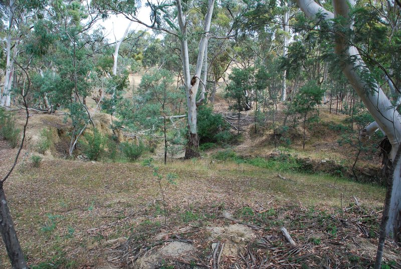 NEW NUGGETTY GULLY ALLUVIAL GOLD WORKINGS SOHE 2008