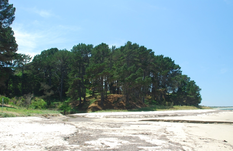 THE PINES (FORESHORE RESERVE) SOHE 2008